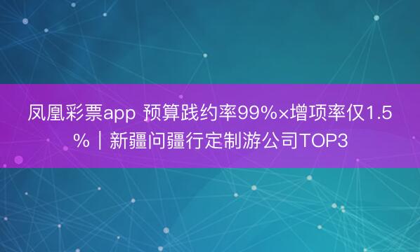 凤凰彩票app 预算践约率99%×增项率仅1.5%|新疆问疆行定制游公司TOP3