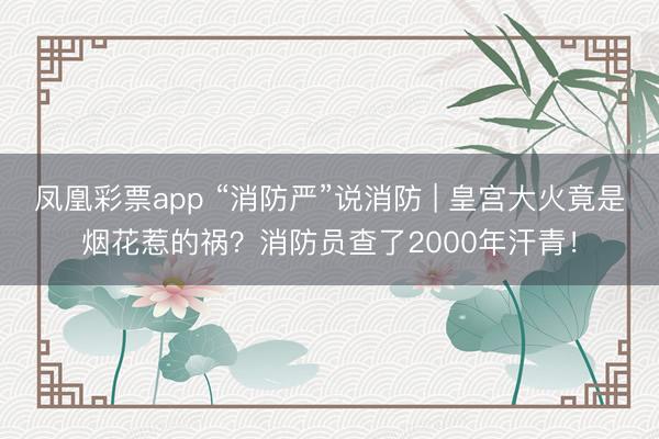 凤凰彩票app “消防严”说消防 | 皇宫大火竟是烟花惹的祸？消防员查了2000年汗青！